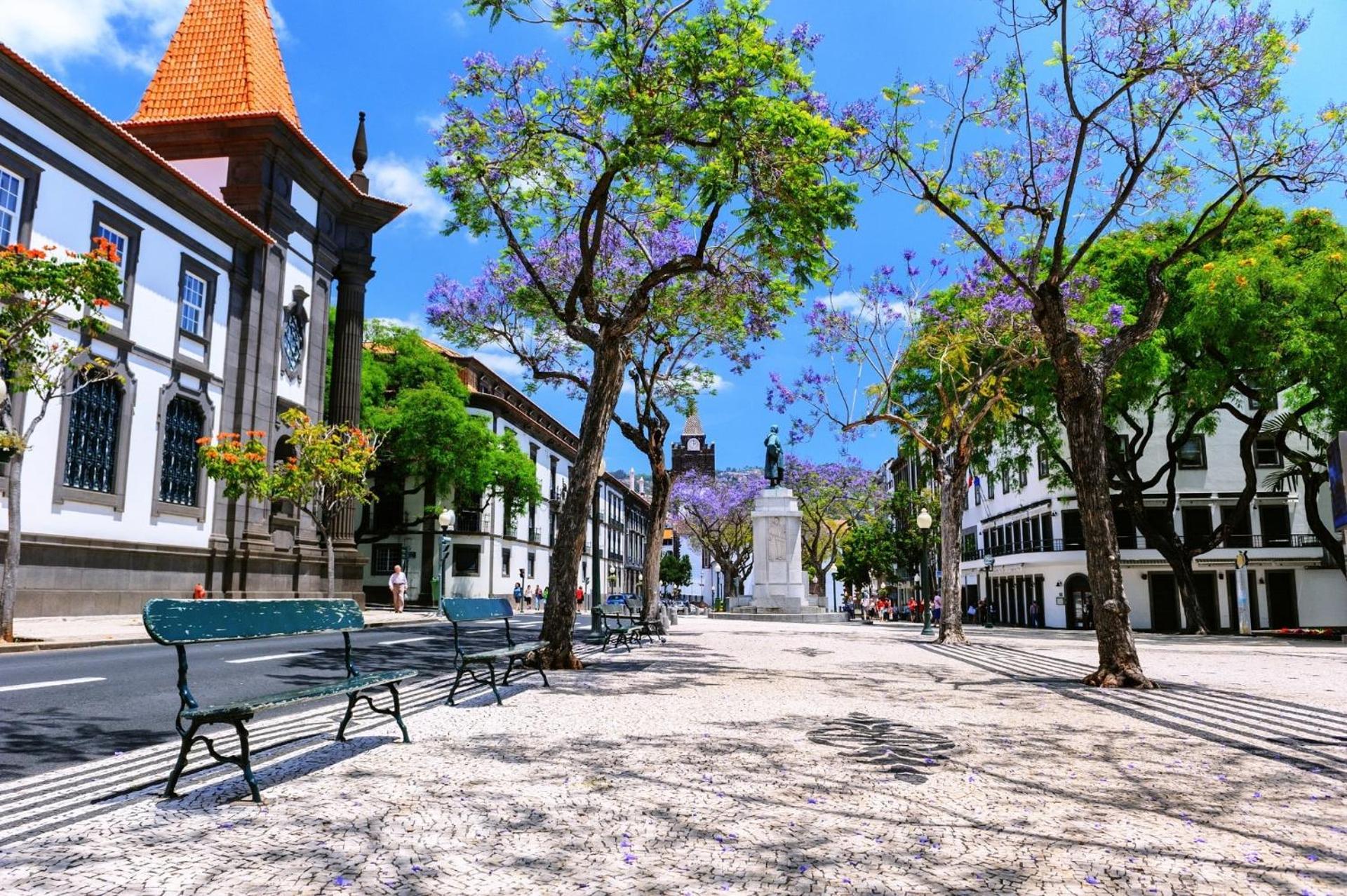 Barreirinha Front-Line Sea View I By Hr Madeira Funchal (Madeira) Exterior foto